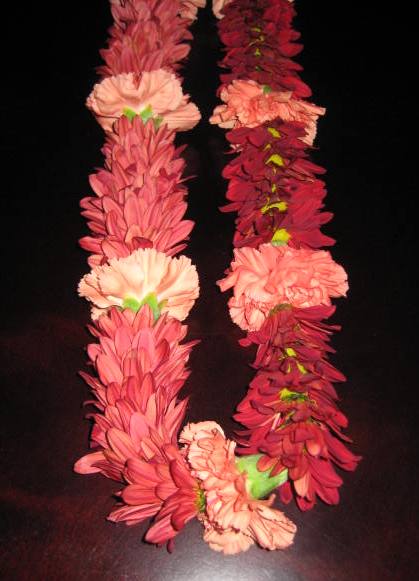 daisy and carnation